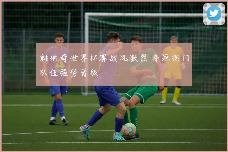 魁地奇世界杯赛战况激烈 夺冠热门队伍强势晋级
