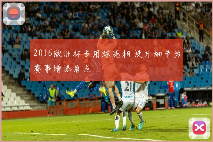 2016欧洲杯专用球亮相 设计细节为赛事增添看点