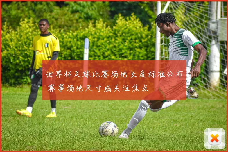 世界杯足球比赛场地长度标准公布 赛事场地尺寸成关注焦点